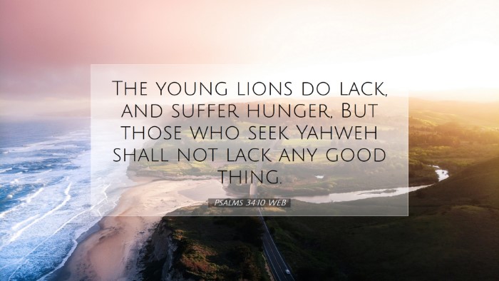 Picture 07 - Psalms 34:10 WEB Desktop Wallpaper - The young lions do lack, and suffer hunger, But - Desktop Bible Verse Wallpaper