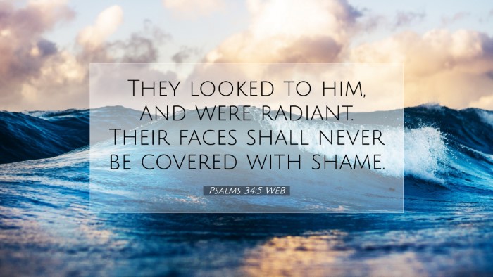 Picture 07 - Psalms 34:5 WEB Desktop Wallpaper - They looked to him, and were radiant. Their faces - Desktop Bible Verse Wallpaper