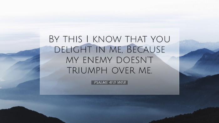 Picture 07 - Psalms 41:11 WEB Desktop Wallpaper - By this I know that you delight in me, Because my - Desktop Bible Verse Wallpaper