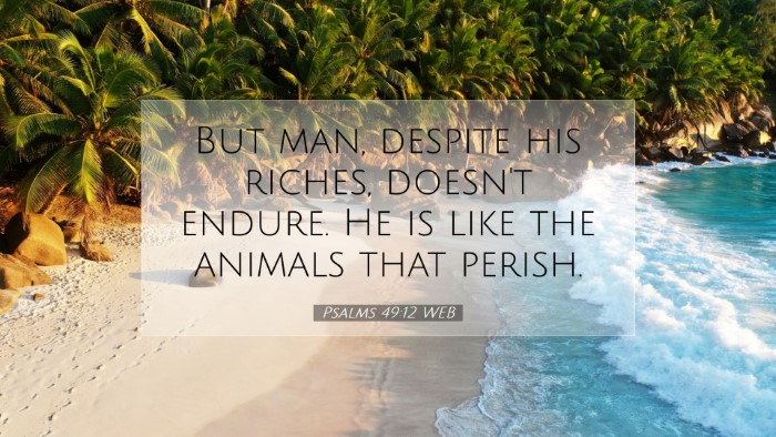 Picture 07 - Psalms 49:12 WEB Desktop Wallpaper - But man, despite his riches, doesn't endure. He - Desktop Bible Verse Wallpaper