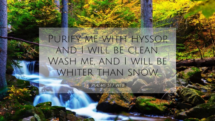 Picture 07 - Psalms 51:7 WEB Desktop Wallpaper - Purify me with hyssop, and I will be clean. Wash - Desktop Bible Verse Wallpaper