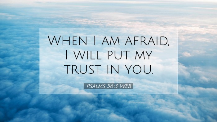 Picture 07 - Psalms 56:3 WEB Desktop Wallpaper - When I am afraid, I will put my trust in - Desktop Bible Verse Wallpaper