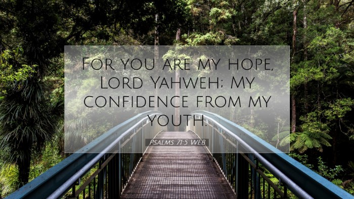 Picture 07 - Psalms 71:5 WEB Desktop Wallpaper - For you are my hope, Lord Yahweh; My confidence - Desktop Bible Verse Wallpaper