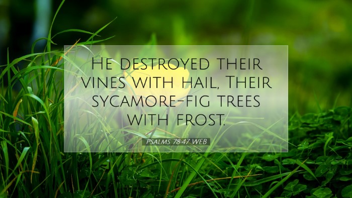 Picture 07 - Psalms 78:47 WEB Desktop Wallpaper - He destroyed their vines with hail, Their - Desktop Bible Verse Wallpaper