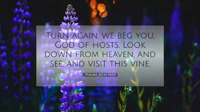 Picture 07 - Psalms 80:14 WEB Desktop Wallpaper - Turn again, we beg you, God of hosts. Look down - Desktop Bible Verse Wallpaper