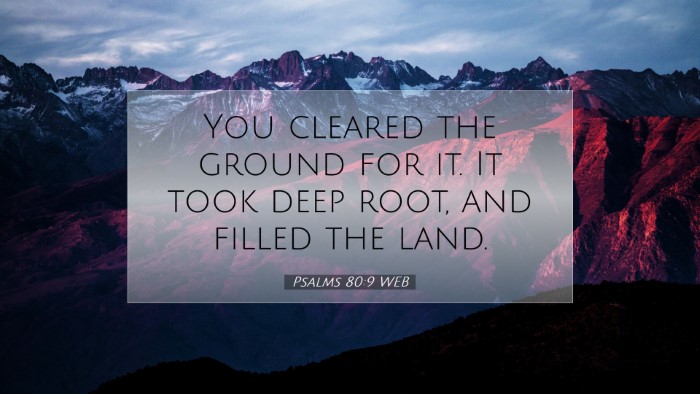 Picture 07 - Psalms 80:9 WEB Desktop Wallpaper - You cleared the ground for it. It took deep root, - Desktop Bible Verse Wallpaper