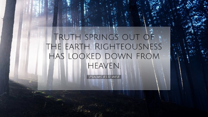 Picture 07 - Psalms 85:11 WEB Desktop Wallpaper - Truth springs out of the earth. Righteousness has - Desktop Bible Verse Wallpaper