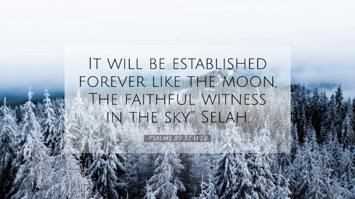 Picture 07 - Psalms 89:37 WEB Desktop Wallpaper - It will be established forever like the moon, The - Desktop Bible Verse Wallpaper