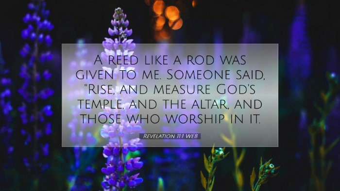 Picture 07 - Revelation 11:1 WEB Desktop Wallpaper - A reed like a rod was given to me. Someone said, - Desktop Bible Verse Wallpaper