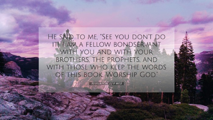Picture 07 - Revelation 22:9 WEB Desktop Wallpaper - He said to me, 