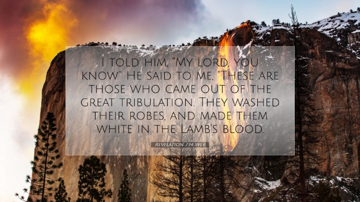 Picture 07 - Revelation 7:14 WEB Desktop Wallpaper - I told him, 