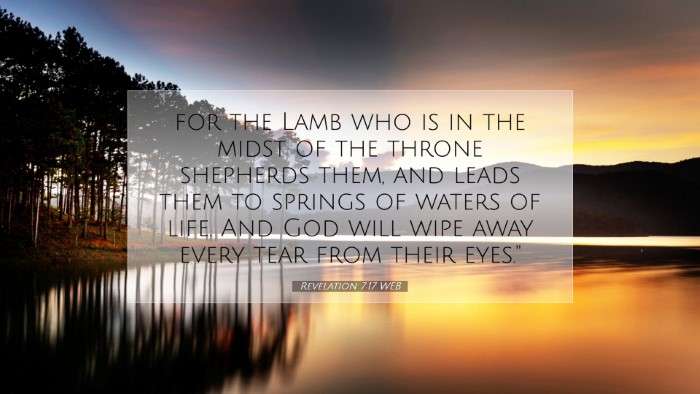 Picture 07 - Revelation 7:17 WEB Desktop Wallpaper - for the Lamb who is in the midst of the throne - Desktop Bible Verse Wallpaper