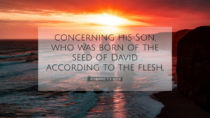 Picture 07 - Romans 1:3 WEB Desktop Wallpaper - concerning his Son, who was born of the seed of - Desktop Bible Verse Wallpaper
