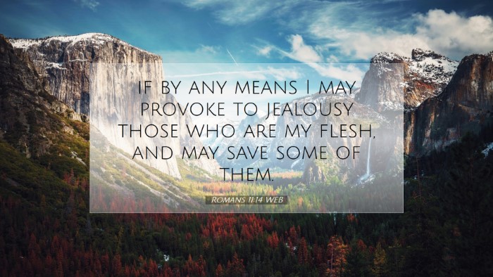 Picture 07 - Romans 11:14 WEB Desktop Wallpaper - if by any means I may provoke to jealousy those - Desktop Bible Verse Wallpaper