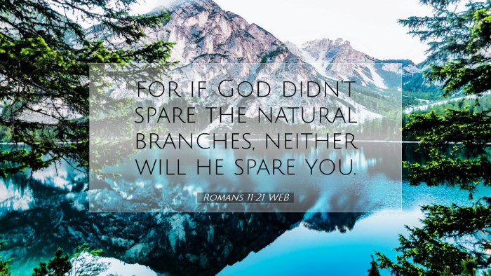 Picture 07 - Romans 11:21 WEB Desktop Wallpaper - for if God didn't spare the natural branches, - Desktop Bible Verse Wallpaper
