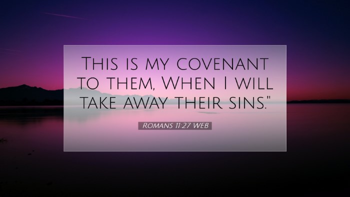 Picture 07 - Romans 11:27 WEB Desktop Wallpaper - This is my covenant to them, When I will take - Desktop Bible Verse Wallpaper
