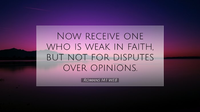 Picture 07 - Romans 14:1 WEB Desktop Wallpaper - Now receive one who is weak in faith, but not for - Desktop Bible Verse Wallpaper
