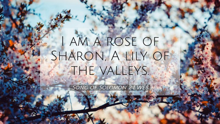 Picture 07 - Song of Solomon 2:1 WEB Desktop Wallpaper - I am a rose of Sharon, A lily of the - Desktop Bible Verse Wallpaper