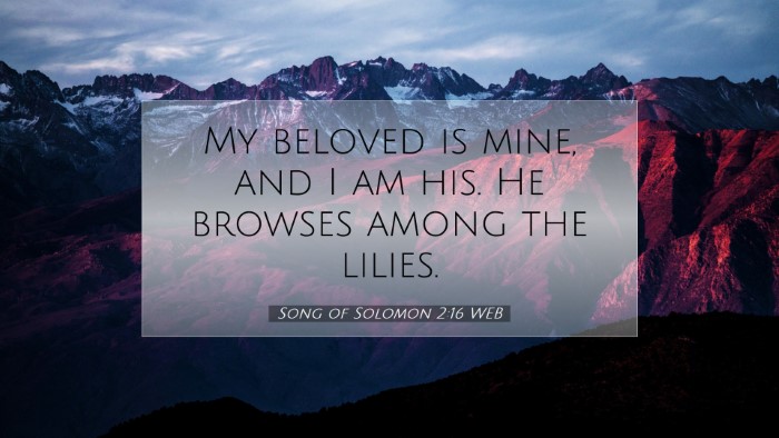 Picture 07 - Song of Solomon 2:16 WEB Desktop Wallpaper - My beloved is mine, and I am his. He browses - Desktop Bible Verse Wallpaper