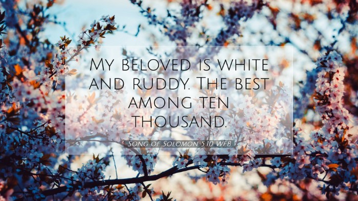 Picture 07 - Song of Solomon 5:10 WEB Desktop Wallpaper - My beloved is white and ruddy. The best among ten - Desktop Bible Verse Wallpaper