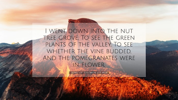 Picture 07 - Song of Solomon 6:11 WEB Desktop Wallpaper - I went down into the nut tree grove, To see the - Desktop Bible Verse Wallpaper
