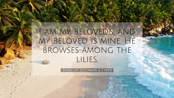 Picture 07 - Song of Solomon 6:3 WEB Desktop Wallpaper - I am my beloved's, and my beloved is mine. He - Desktop Bible Verse Wallpaper