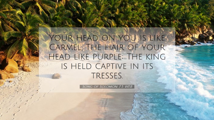 Picture 07 - Song of Solomon 7:5 WEB Desktop Wallpaper - Your head on you is like Carmel, The hair of your - Desktop Bible Verse Wallpaper