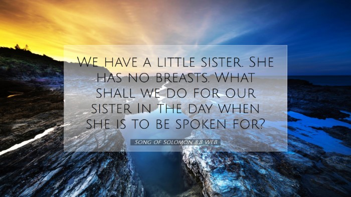 Picture 07 - Song of Solomon 8:8 WEB Desktop Wallpaper - We have a little sister. She has no breasts. What - Desktop Bible Verse Wallpaper
