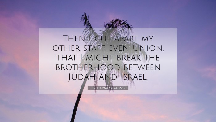 Picture 07 - Zechariah 11:14 WEB Desktop Wallpaper - Then I cut apart my other staff, even Union, that - Desktop Bible Verse Wallpaper