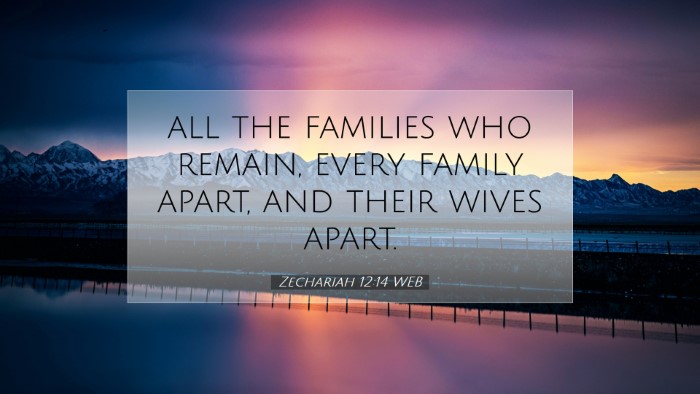 Picture 07 - Zechariah 12:14 WEB Desktop Wallpaper - all the families who remain, every family apart, - Desktop Bible Verse Wallpaper