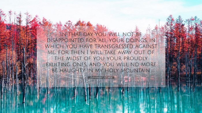Picture 07 - Zephaniah 3:11 WEB Desktop Wallpaper - In that day you will not be disappointed for all - Desktop Bible Verse Wallpaper