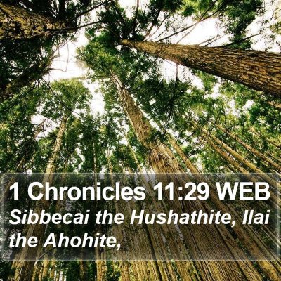 1 Chronicles 11:29 WEB Bible Verse Image