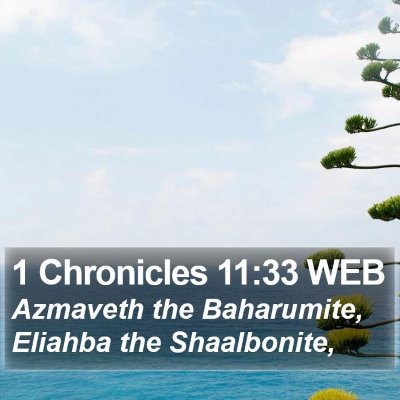 1 Chronicles 11:33 WEB Bible Verse Image
