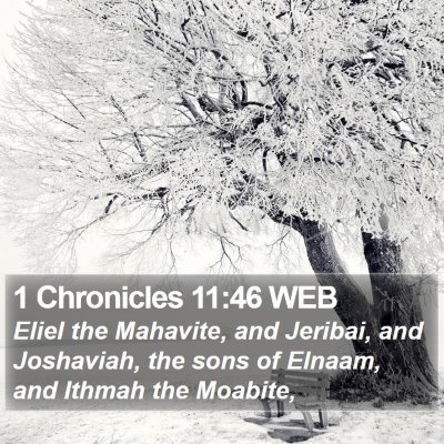 1 Chronicles 11:46 WEB Bible Verse Image