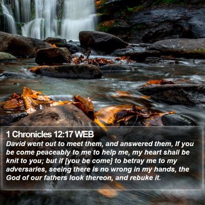 1 Chronicles 12:17 WEB Bible Verse Image