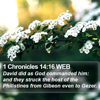 1 Chronicles 14:16 WEB Bible Verse Image