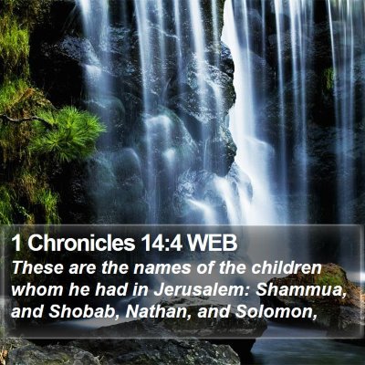 1 Chronicles 14:4 WEB Bible Verse Image