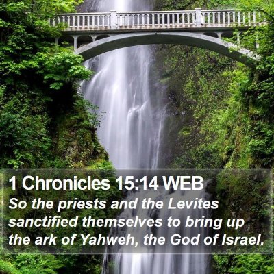 1 Chronicles 15:14 WEB Bible Verse Image