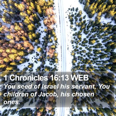 1 Chronicles 16:13 WEB Bible Verse Image