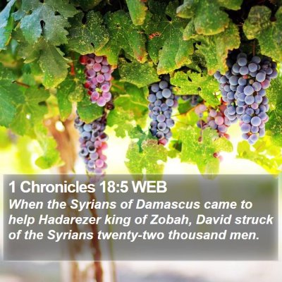 1 Chronicles 18:5 WEB Bible Verse Image