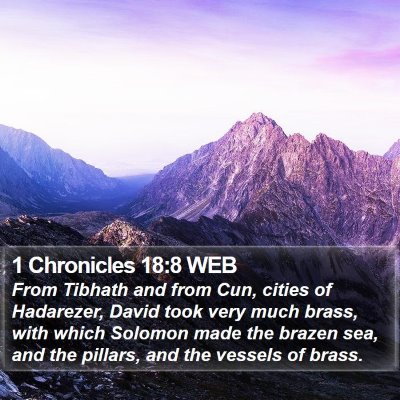 1 Chronicles 18:8 WEB Bible Verse Image