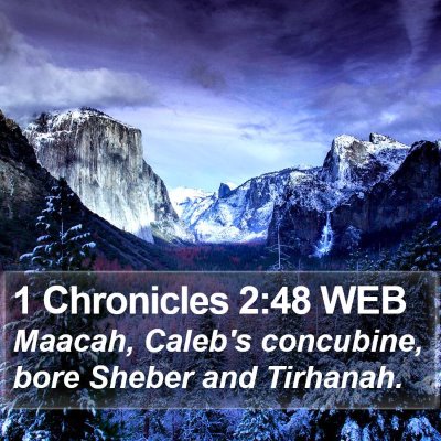 1 Chronicles 2:48 WEB Bible Verse Image