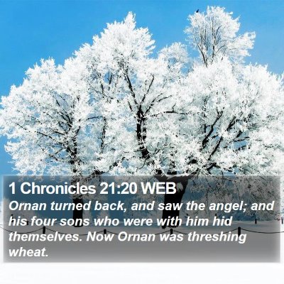 1 Chronicles 21:20 WEB Bible Verse Image