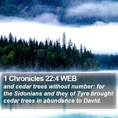 1 Chronicles 22:4 WEB Bible Verse Image