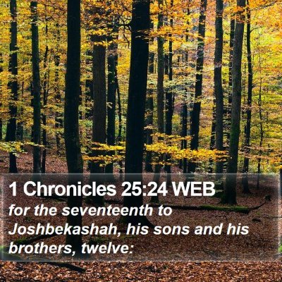 1 Chronicles 25:24 WEB Bible Verse Image