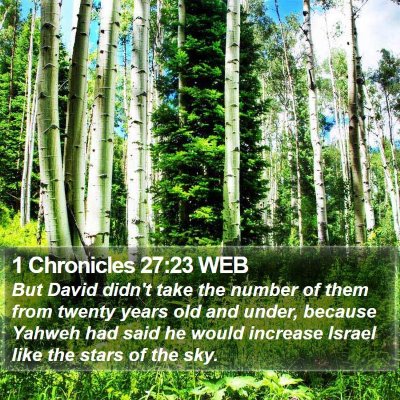 1 Chronicles 27:23 WEB Bible Verse Image