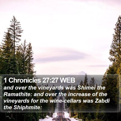 1 Chronicles 27:27 WEB Bible Verse Image