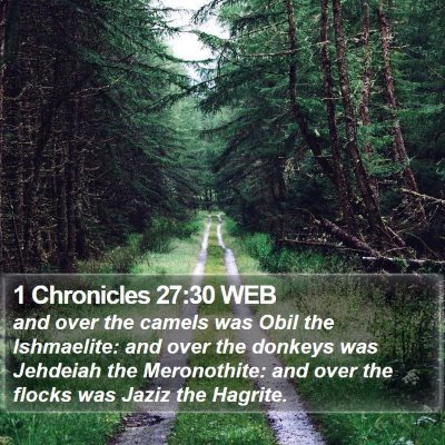 1 Chronicles 27:30 WEB Bible Verse Image