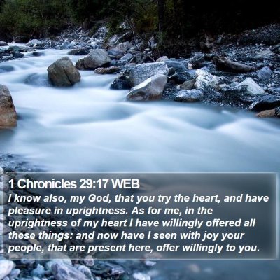 1 Chronicles 29:17 WEB Bible Verse Image
