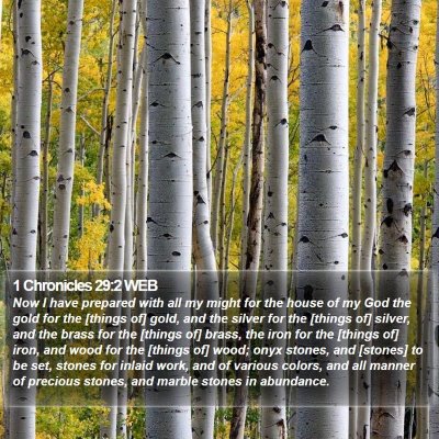 1 Chronicles 29:2 WEB Bible Verse Image